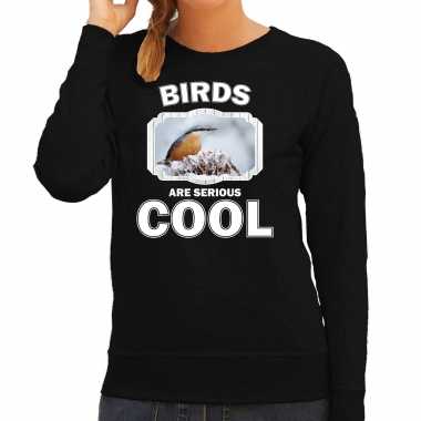 Dieren boomklever vogel sweater zwart dames - birds are cool trui