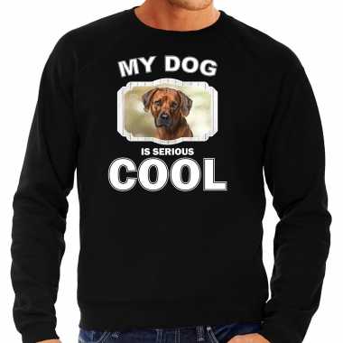 Rhodesian ridgeback honden sweater / trui my dog is serious cool zwart voor heren