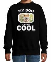 Akita inu honden trui sweater my dog is serious cool zwart voor kinderen