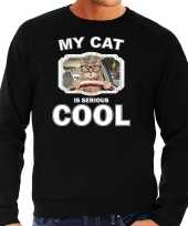 Auto rijdende kat katten sweater trui my cat is serious cool zwart voor heren