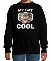 Auto rijdende katten poezen trui sweater my cat is serious cool zwart voor kinderen