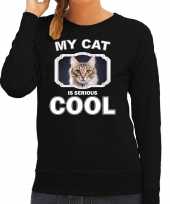 Bruine kat katten sweater trui my cat is serious cool zwart voor dames 10257904