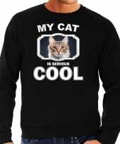 Bruine kat katten sweater trui my cat is serious cool zwart voor heren 10257902