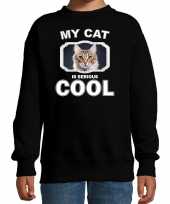 Bruine katten poezen trui sweater my cat is serious cool zwart voor kinderen