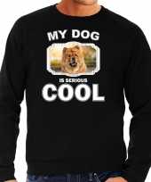 Chow chow honden sweater trui my dog is serious cool zwart voor heren 10256652