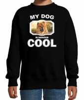 Chow chow honden trui sweater my dog is serious cool zwart voor kinderen 10256696