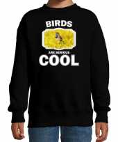 Dieren blauwborst vogel sweater zwart kinderen birds are cool trui jongens en meisjes