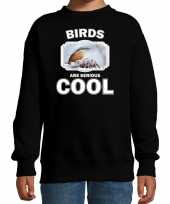 Dieren boomklever vogel sweater zwart kinderen birds are cool trui jongens en meisjes