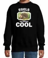 Dieren egel sweater zwart kinderen egels are cool trui jongens en meisjes