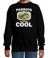 Dieren grijze roodstaart papegaai sweater zwart kinderen parrots are cool trui jongens en meisjes