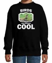 Dieren groene specht sweater zwart kinderen birds are cool trui jongens en meisjes