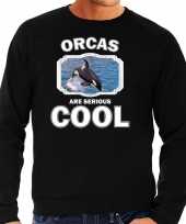 Dieren grote orka sweater zwart heren orcas are cool trui