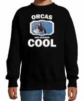 Dieren grote orka sweater zwart kinderen orcas are cool trui jongens en meisjes