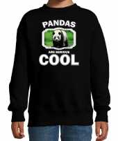 Dieren grote panda sweater zwart kinderen pandas are cool trui jongens en meisjes