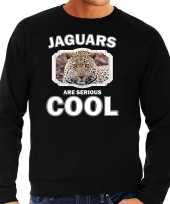Dieren jaguar sweater zwart heren jaguars are cool trui
