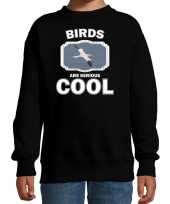 Dieren jan van gent vogel sweater zwart kinderen birds are cool trui jongens en meisjes