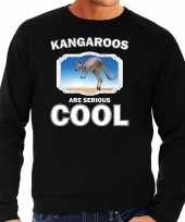 Dieren kangoeroe sweater zwart heren kangaroos are cool trui