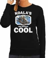 Dieren koala beer sweater zwart dames koalas are cool trui
