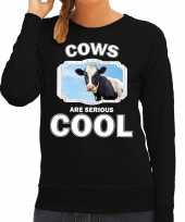 Dieren koe sweater zwart dames cows are cool trui