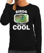 Dieren kolibrie vogel sweater zwart dames birds are cool trui 10253470