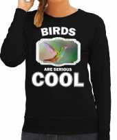 Dieren kolibrie vogel sweater zwart dames birds are cool trui
