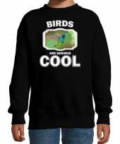 Dieren kolibrie vogel vliegend sweater zwart kinderen birds are cool trui jongens en meisjes