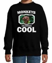 Dieren orangoetan sweater zwart kinderen monkeys are cool trui jongens en meisjes
