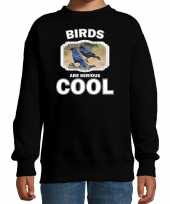 Dieren raaf sweater zwart kinderen birds are cool trui jongens en meisjes
