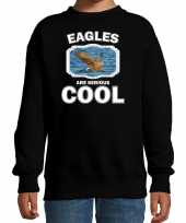 Dieren zeearend sweater zwart kinderen eagles are cool trui jongens en meisjes