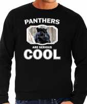 Dieren zwarte panter sweater zwart heren panthers are cool trui