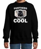 Dieren zwarte panter sweater zwart kinderen panthers are cool trui jongens en meisjes