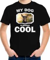 Dwergpinscher honden t shirt my dog is serious cool zwart voor kinderen 10256725