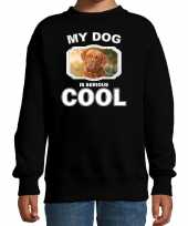 Franse mastiff honden trui sweater my dog is serious cool zwart voor kinderen 10256704