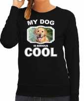 Golden retriever honden sweater trui my dog is serious cool zwart voor dames