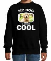 Golden retriever honden trui sweater my dog is serious cool zwart voor kinderen