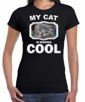 Grijze kat katten poezen t-shirt my cat is serious cool zwart voor dames