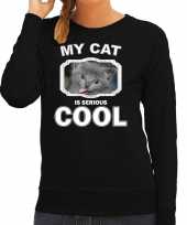 Grijze kat katten sweater trui my cat is serious cool zwart voor dames