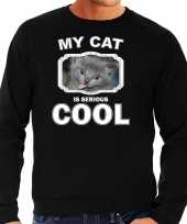 Grijze kat katten sweater trui my cat is serious cool zwart voor heren