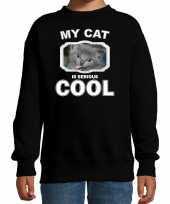 Grijze katten poezen trui sweater my cat is serious cool zwart voor kinderen