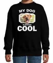 Labrador retriever honden trui sweater my dog is serious cool zwart voor kinderen