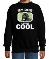 Newfoundlander honden trui sweater my dog is serious cool zwart voor kinderen