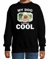 Poedel honden trui sweater my dog is serious cool zwart voor kinderen