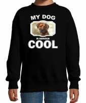 Rhodesian ridgeback honden trui sweater my dog is serious cool zwart voor kinderen
