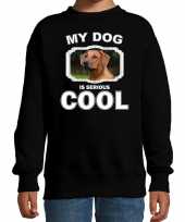 Rhodesische pronkrug honden trui sweater my dog is serious cool zwart voor kinderen
