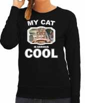 Rijdende kat katten sweater trui my cat is serious cool zwart voor dames