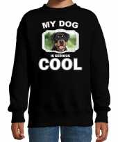Rottweiler honden trui sweater my dog is serious cool zwart voor kinderen