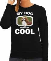 Spaniel honden sweater trui my dog is serious cool zwart voor dames