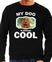 Spaniel honden sweater trui my dog is serious cool zwart voor heren