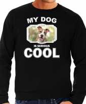 Staffordshire bull terrier honden sweater trui my dog is serious cool zwart voor heren 10256655