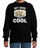 Staffordshire bull terrier honden trui sweater my dog is serious cool zwart voor kinderen 10256699